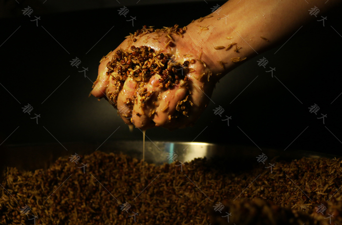 窖藏白酒的技术配方,蒸馏酒设备做固态酒