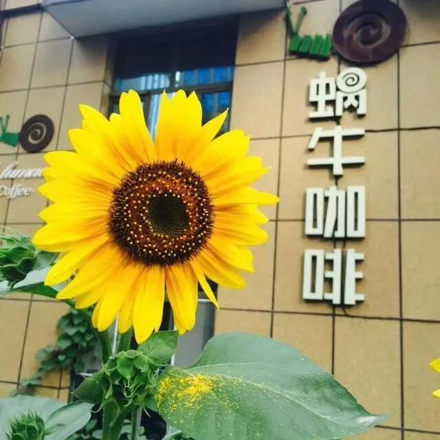 从17岁到35岁,从17岁到如今的47岁