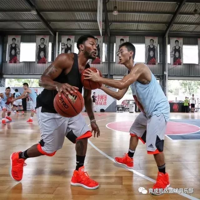 鬼手训练营、精英特训营、夏令营｜育成凯达暑期巨献，限额招生