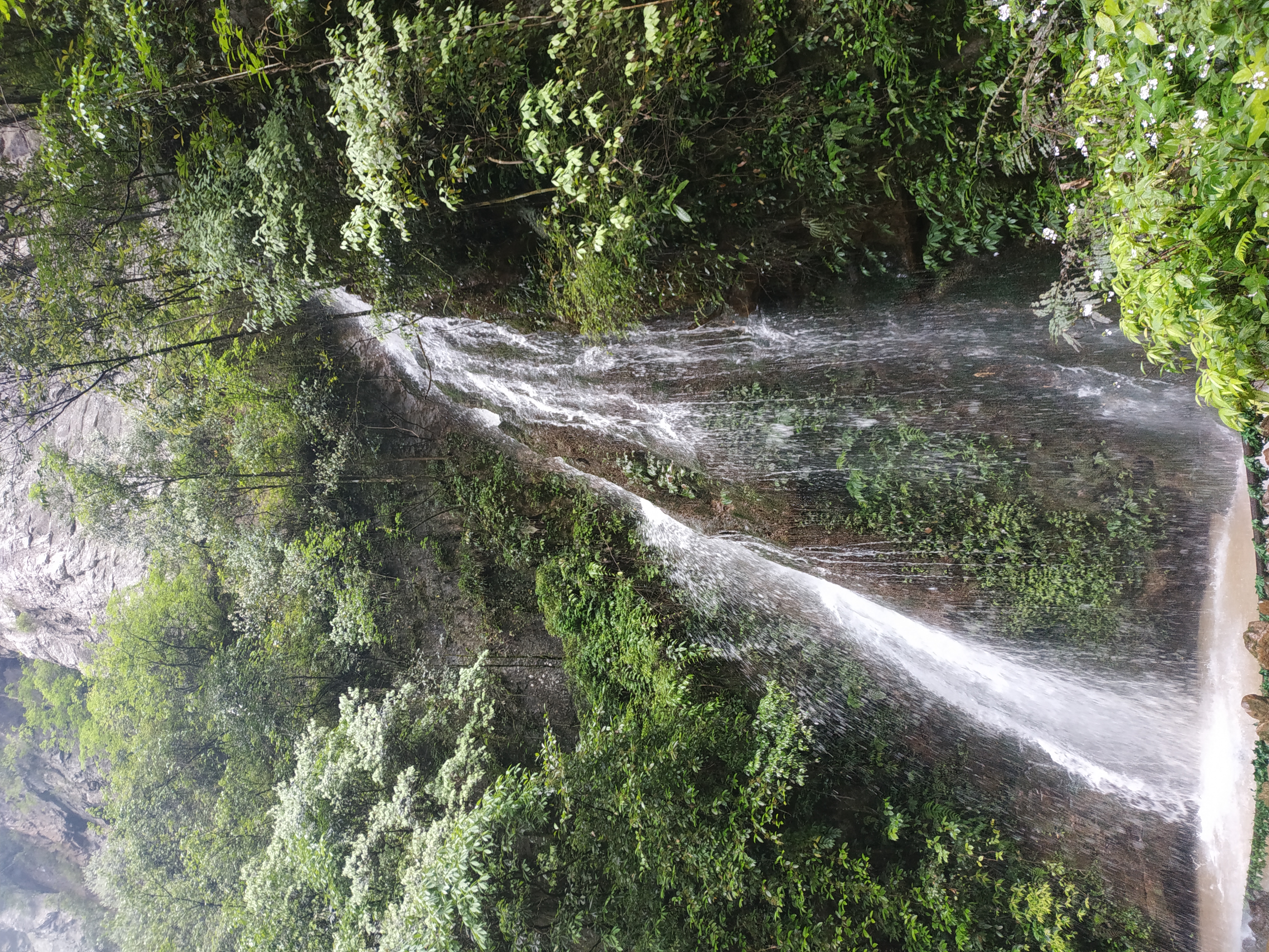 山城重庆的夜别样的美,重庆四天三夜