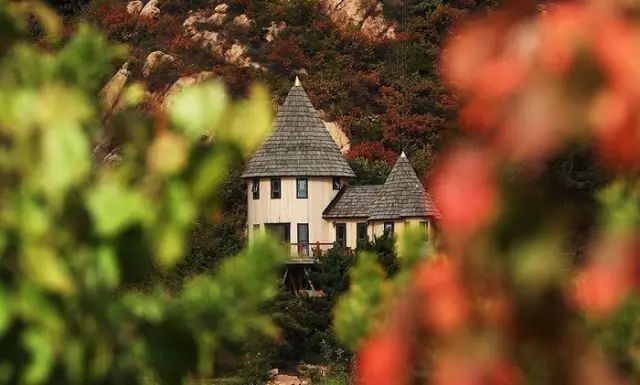 真正的森林树屋,这些树屋满足你对森林的所有幻想