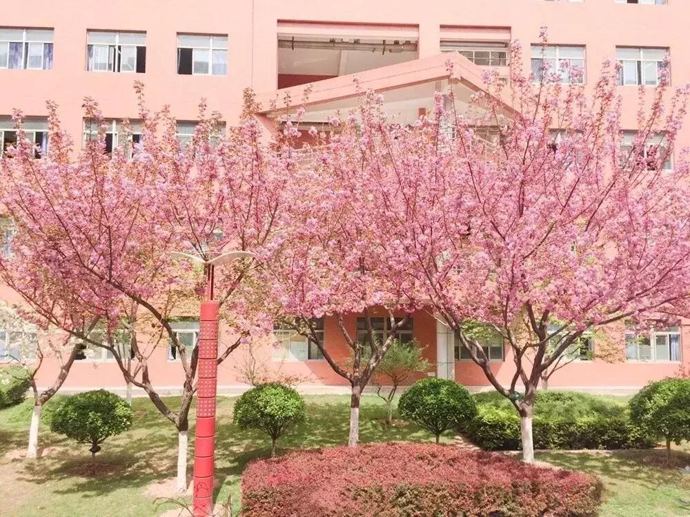 西安十大中学,西安最牛初中排行