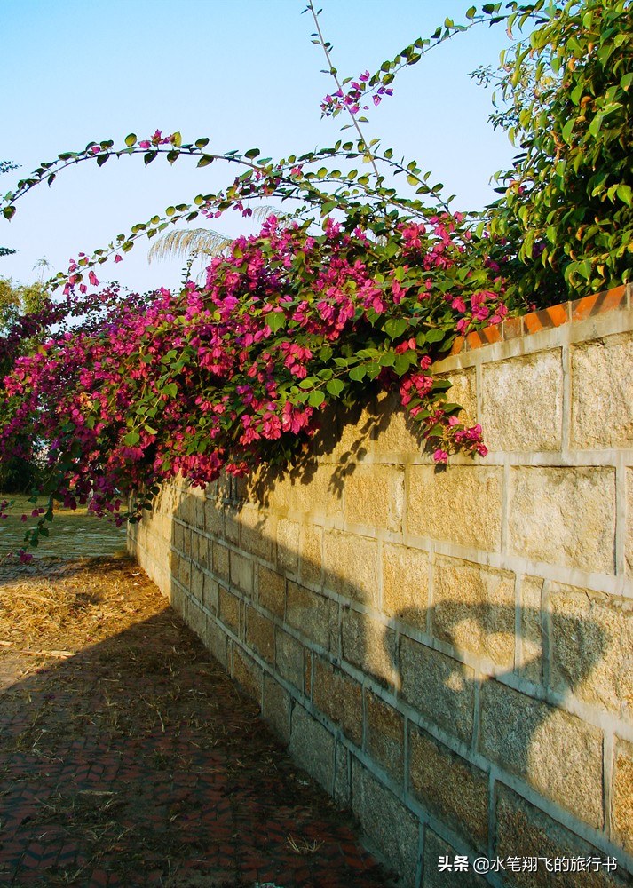 厦门有这样一个地方｜小和尚的邻居是大学生，古朴与摩登并存