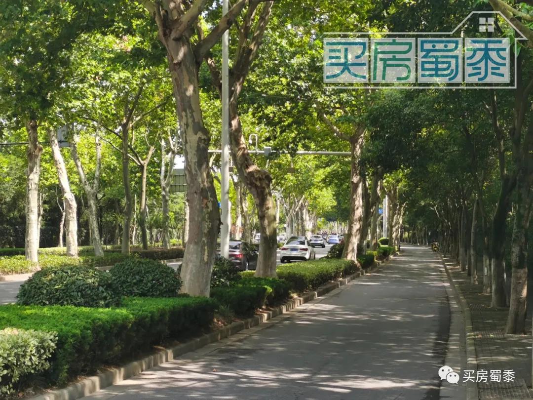 夹缝中的生存状态,夹缝中的生活