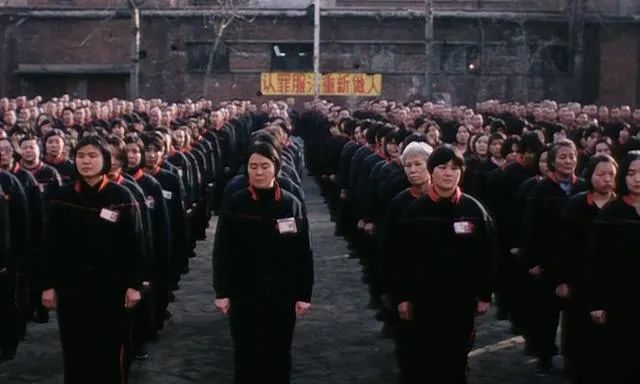 李冰冰警察电影老片子,李冰冰国产电影