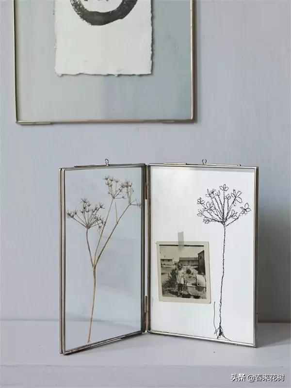 植物标本如何做简单又好看,植物能做什么手工