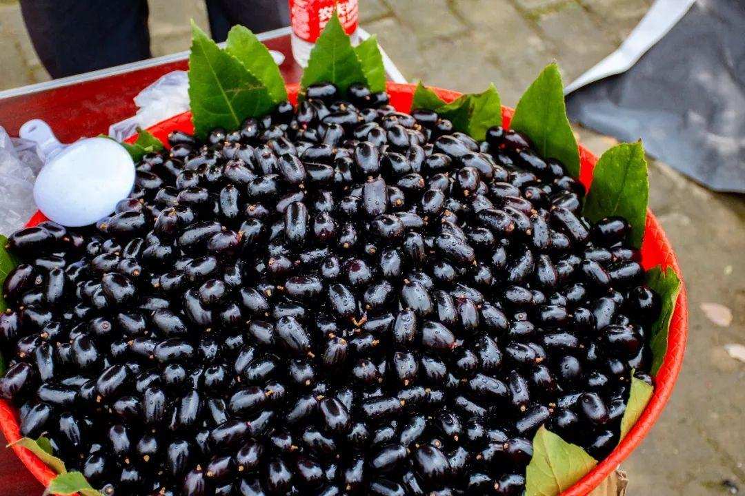 莲花果属于什么植物,莲花果介绍