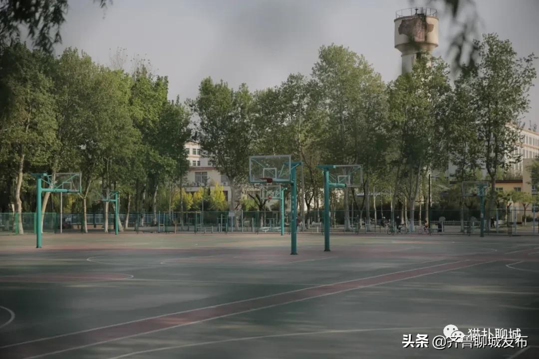 五个月未见面的聊城大学，现在你怎么样了？