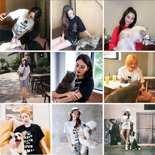 打造IP营销，a02精准引流变现