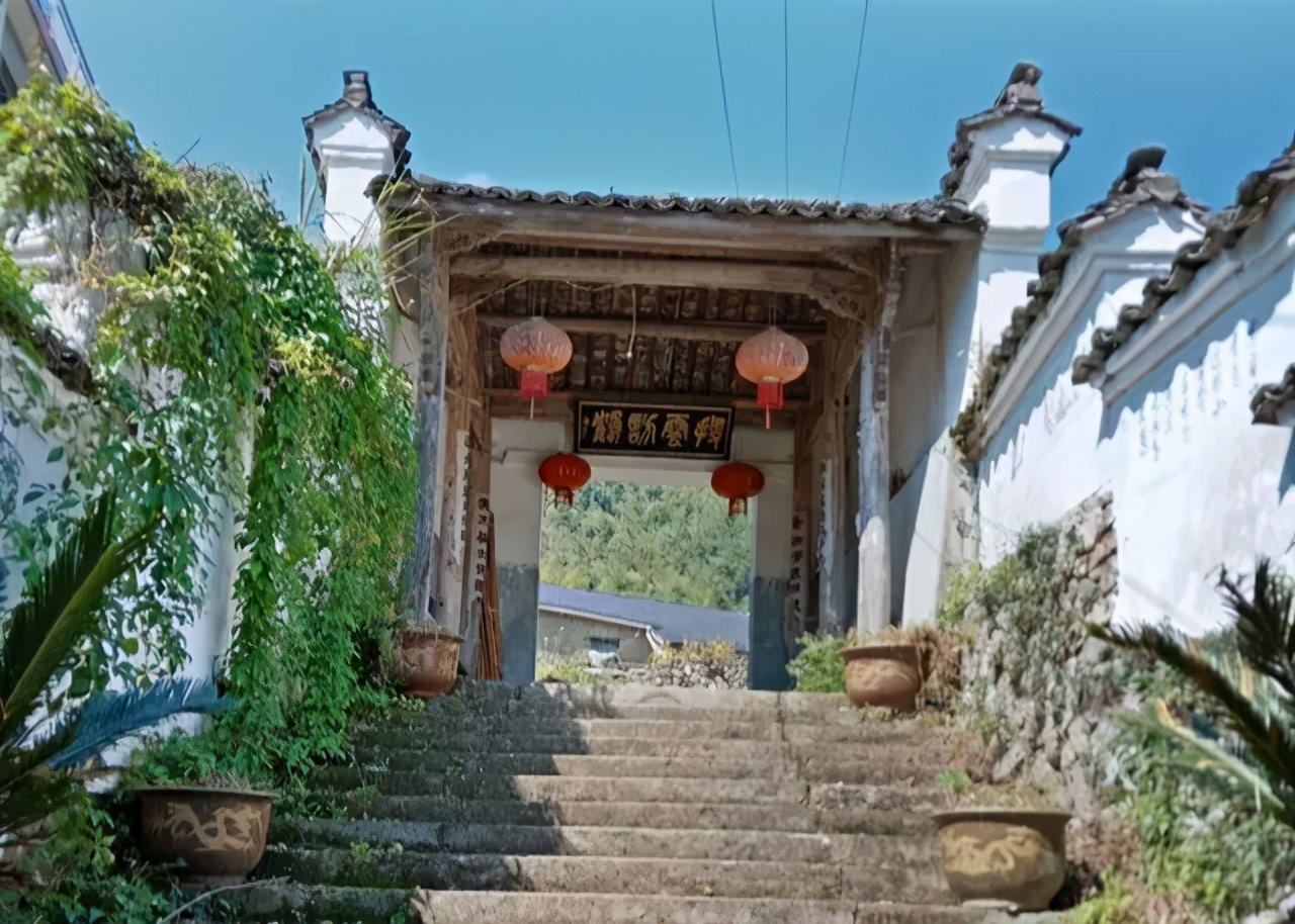 丽水上热搜,浙江丽水现萤火虫星海