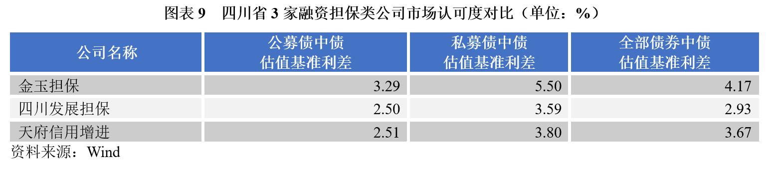 担保公司运营情况汇报材料,担保公司担保项目案例