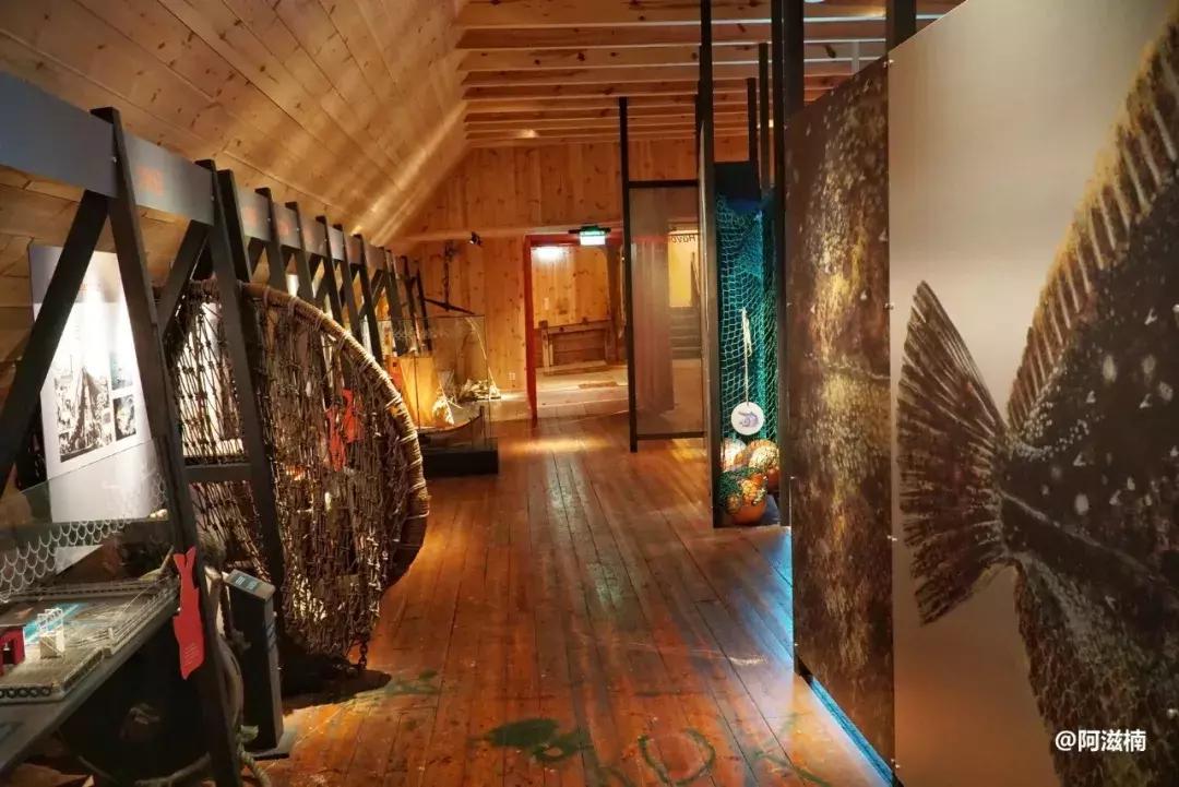 为了吃世界上最好吃的青花鱼，我飞去了挪威，光是捕捞船价值4亿