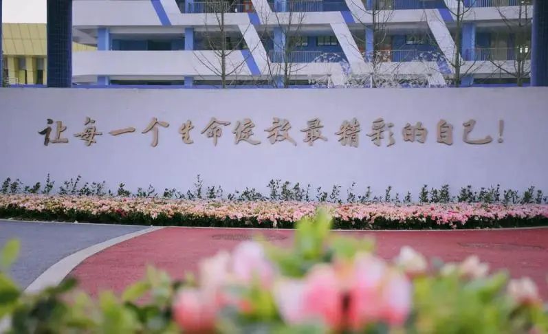 川师系学校,川师系私立学校怎么样