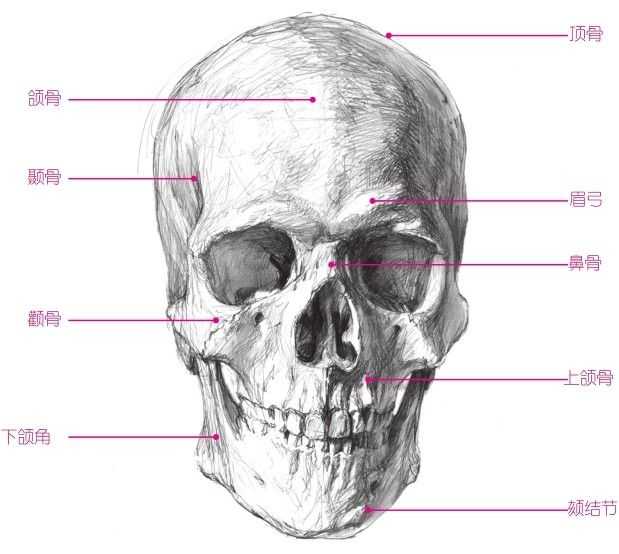 零基础怎样画最简单的素描教程,零基础的素描教程怎么画