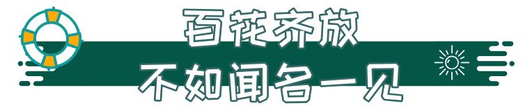 人少还免门票！深圳这片5000000㎡新公园美翻了，“神仙花谷”