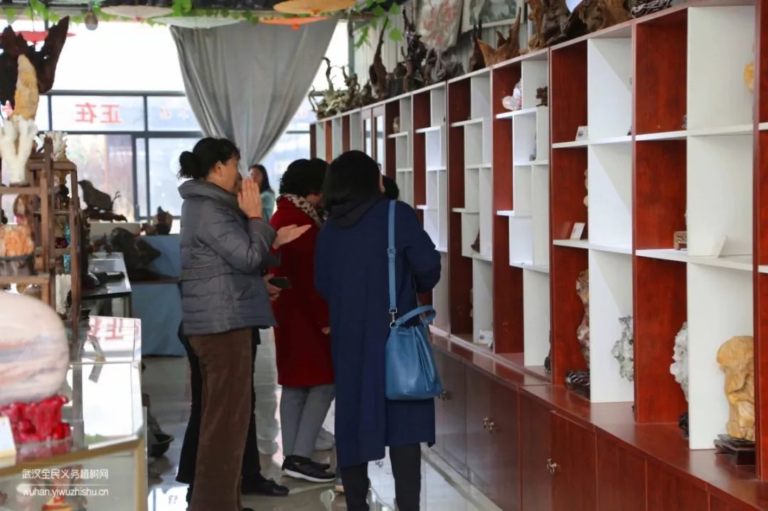 园艺沙龙|前方高能！一大波人相约逛花市，究竟淘了些啥？