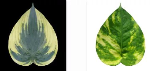 日式庭院景观设计3d图,日系庭院设计建模