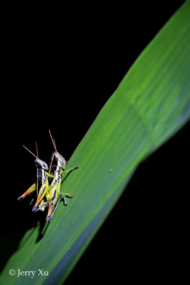 情人节，就该和爱的人*爱做**做的事