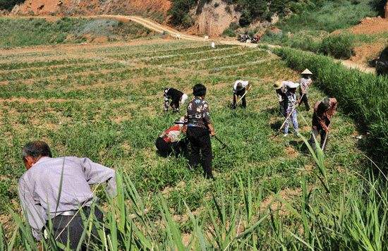 农民种地钱被骗怎么办,农民种地被骗怎么处理