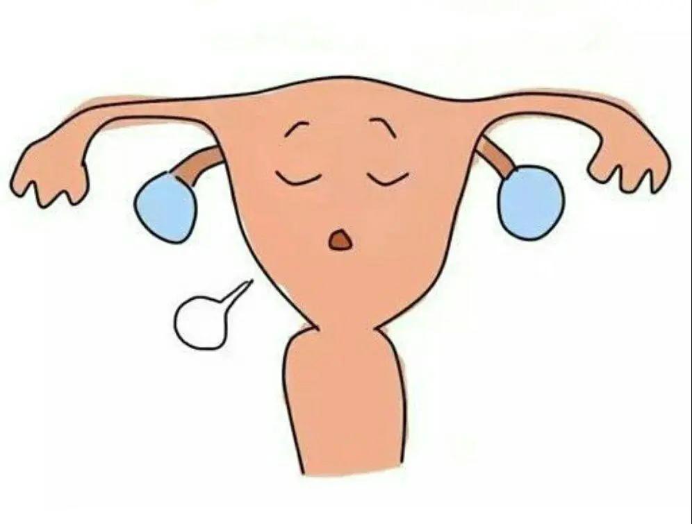 红花颜色掩千花任是猩猩血未加