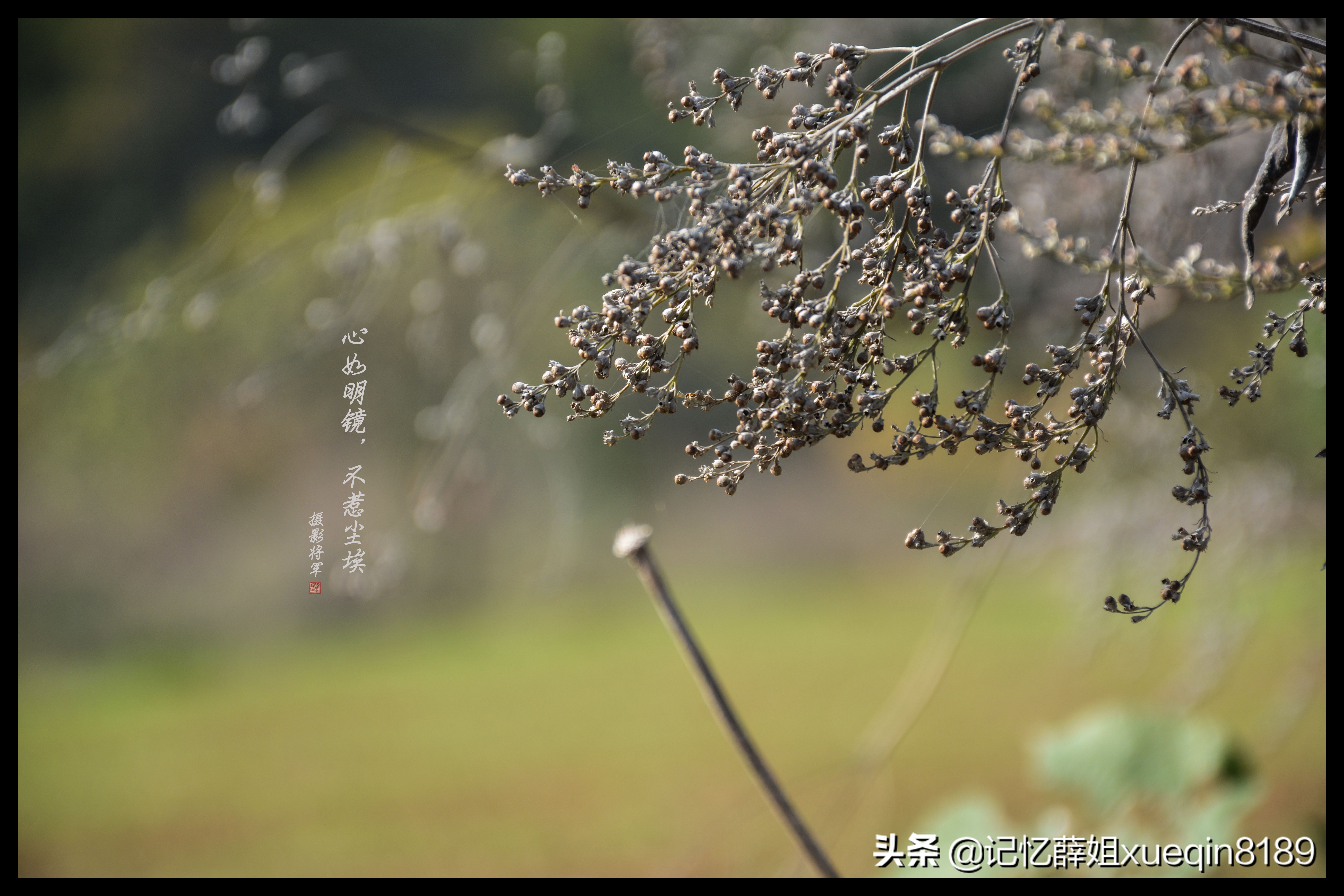 摄影测光的正确方法,摄影时怎么测光