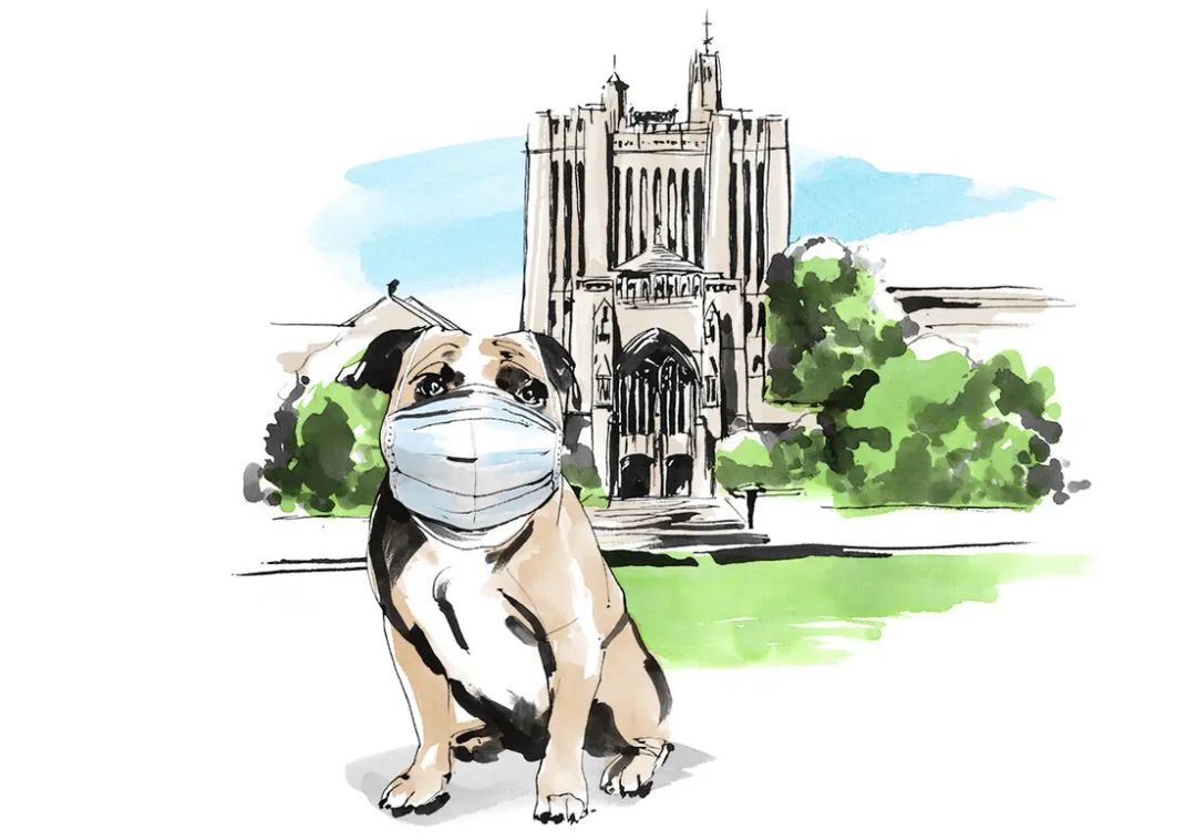 涔斿竷鏂姳蹇楁垚涓鸿绠楁満楂樻墜,涔斿竷鏂槸鎬庝箞琚煿鍏诲嚭鏉ョ殑