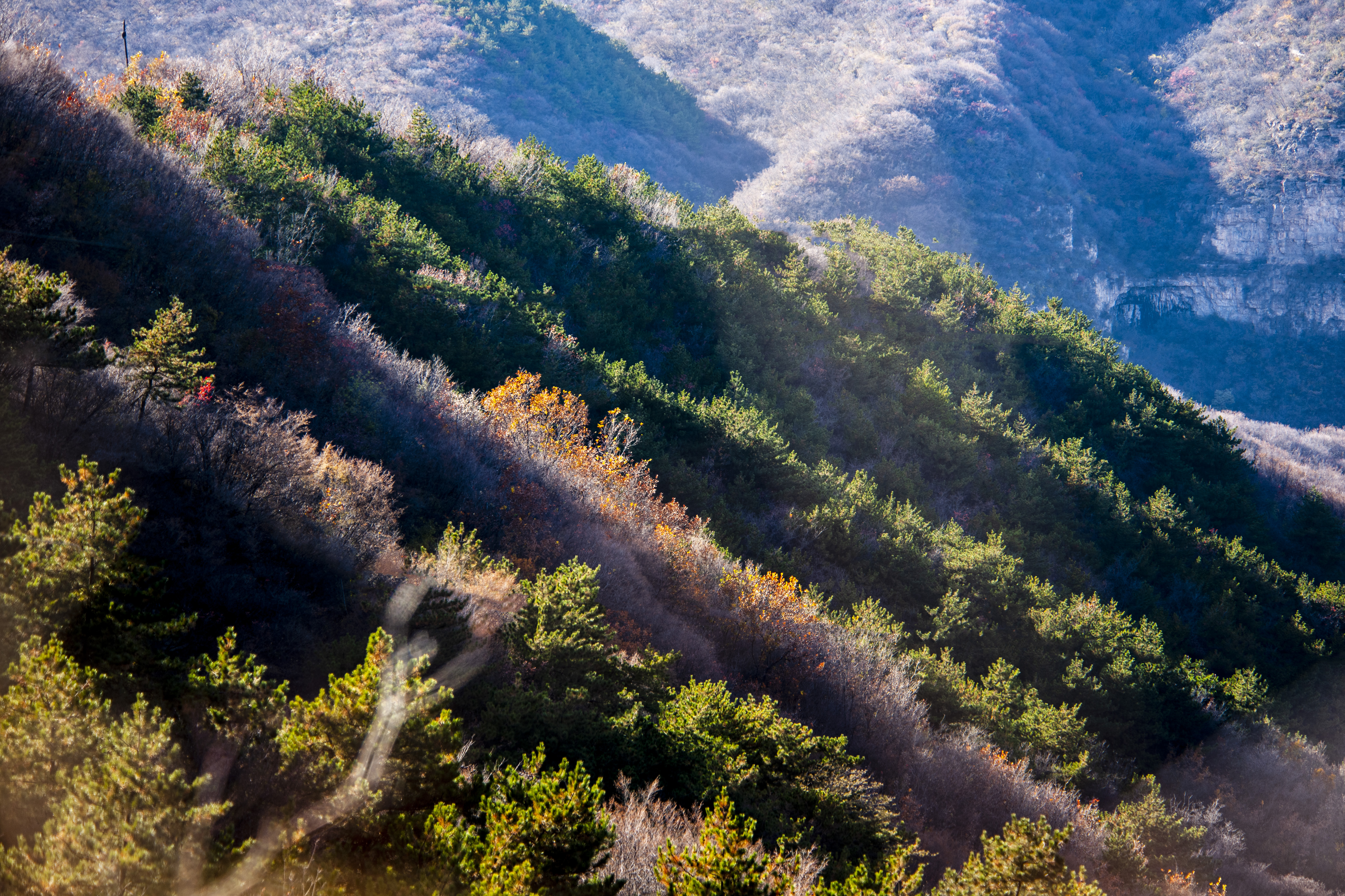 晚秋太行龙纹,晚秋太行红叶