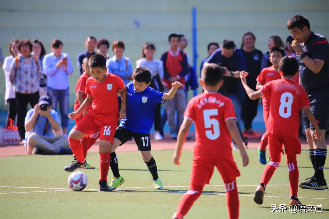 30000人球场,3万人体育场算不算大