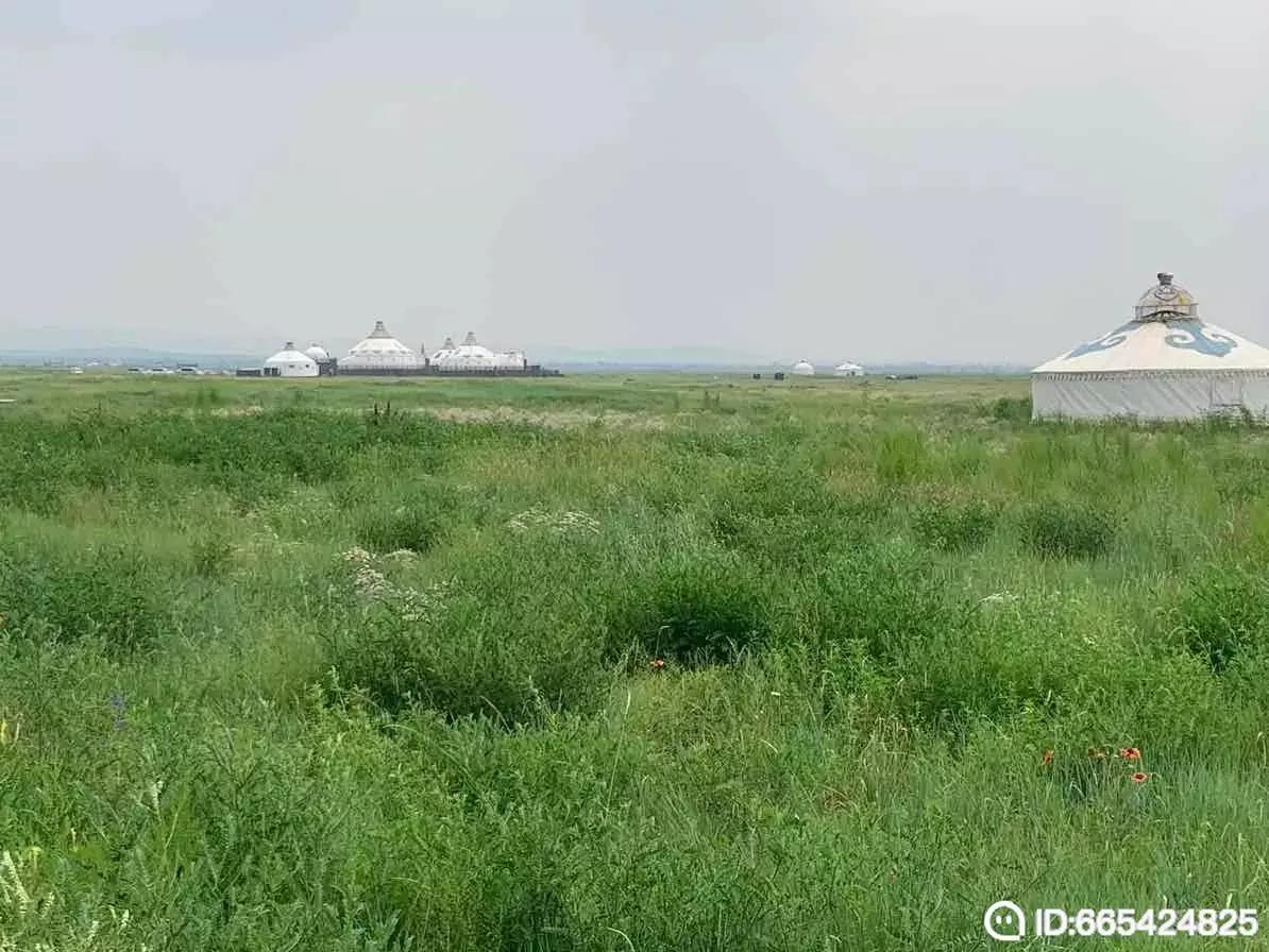 小说《*照门艳**事件》