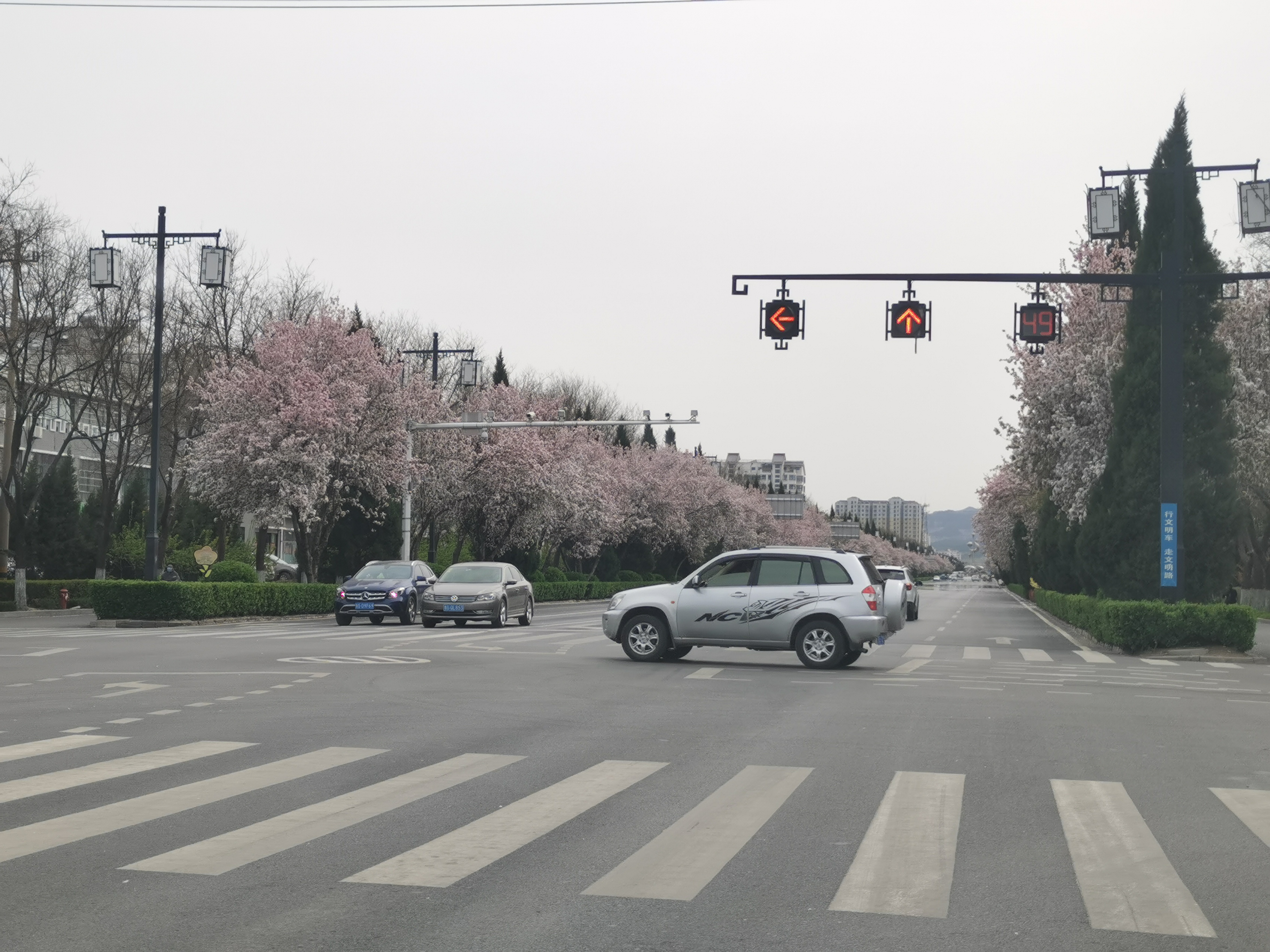 英雄归来最高礼遇抖音,英雄归来最高礼遇视频