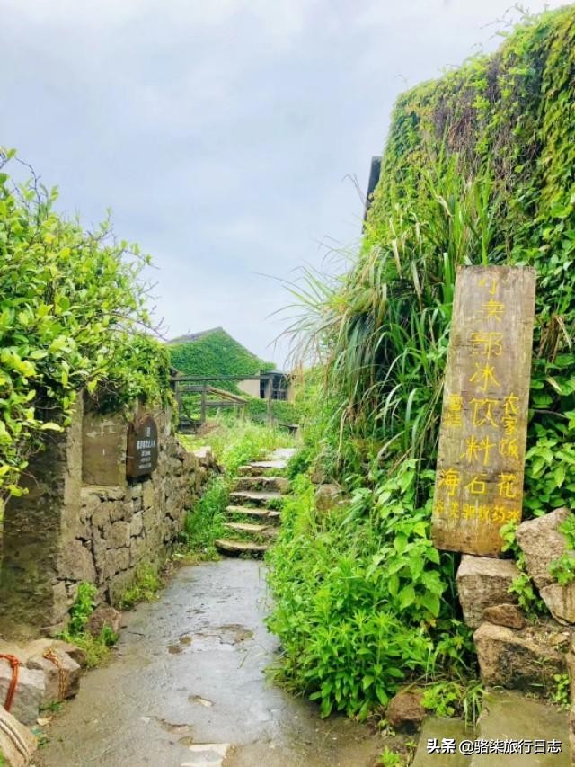 误入绿野仙踪秘境,探索舟山无人村