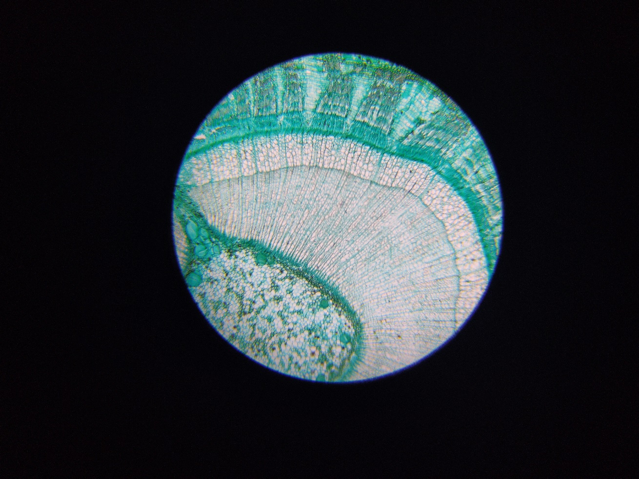 花式搞电脑,花式投影仪玩法