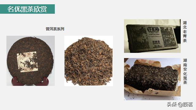 茶叶知识零基础入门手册书电子版,茶叶基础知识讲解课件视频