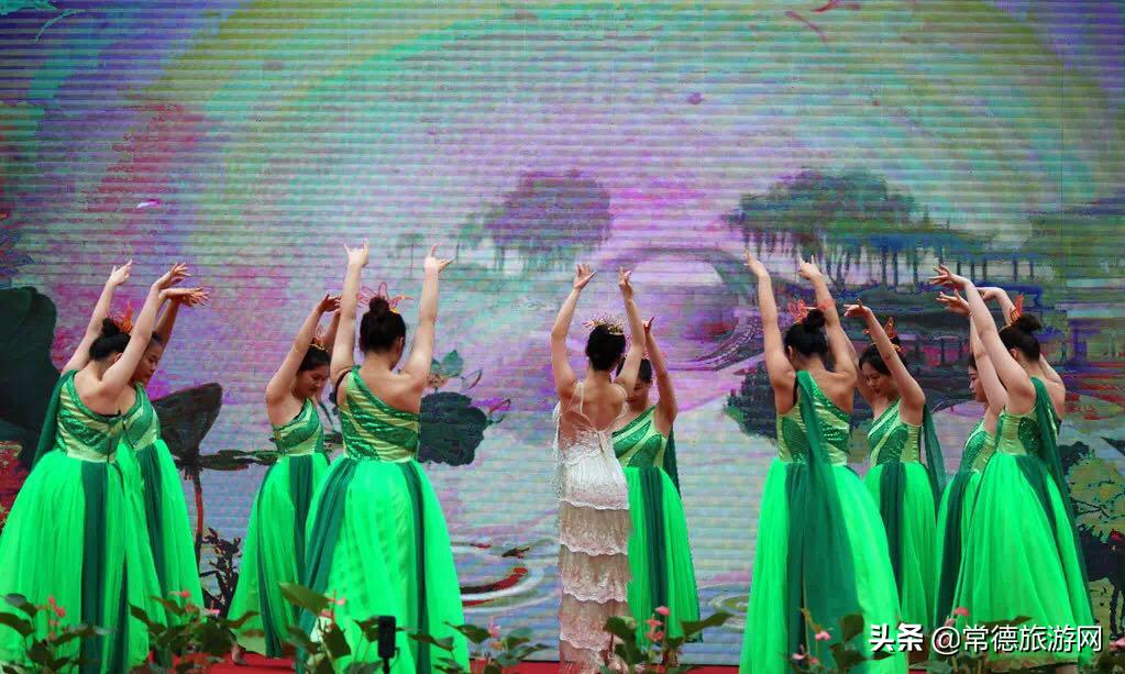 张家界旅游攻略必去的10个景点,张家界旅游必去的三个地方