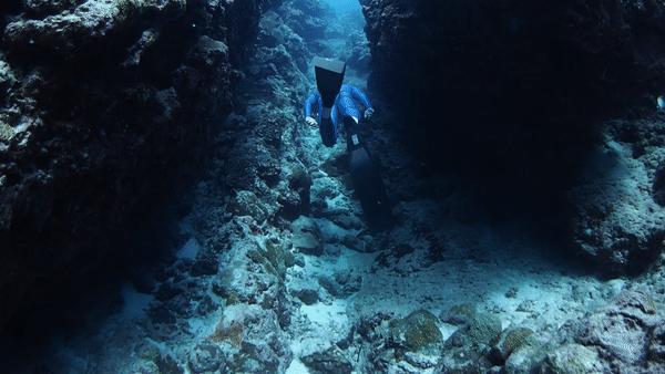 帕劳岛自由行潜水,帕劳水母湖自由潜视频