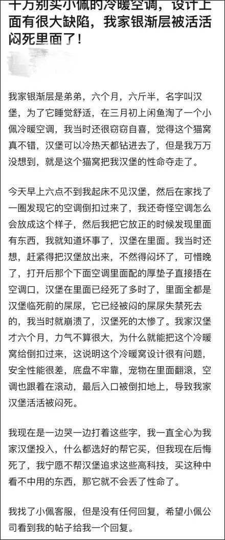 小佩猫窝事件,小佩闷死猫事件