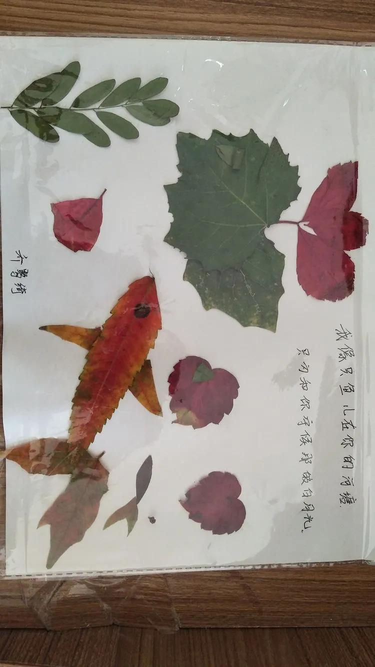 育才中学美丽校园,阜新市育才中学照片