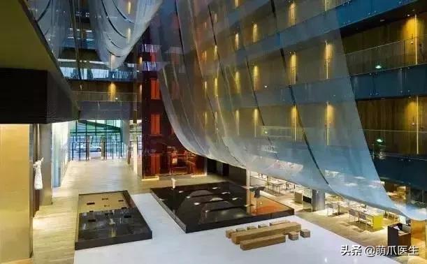 上海可带宠物入住的酒店推荐,怎么选宠物友好酒店房间