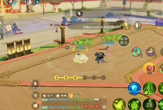 梦幻三维版pve,梦幻西游三维版普陀平民玩法