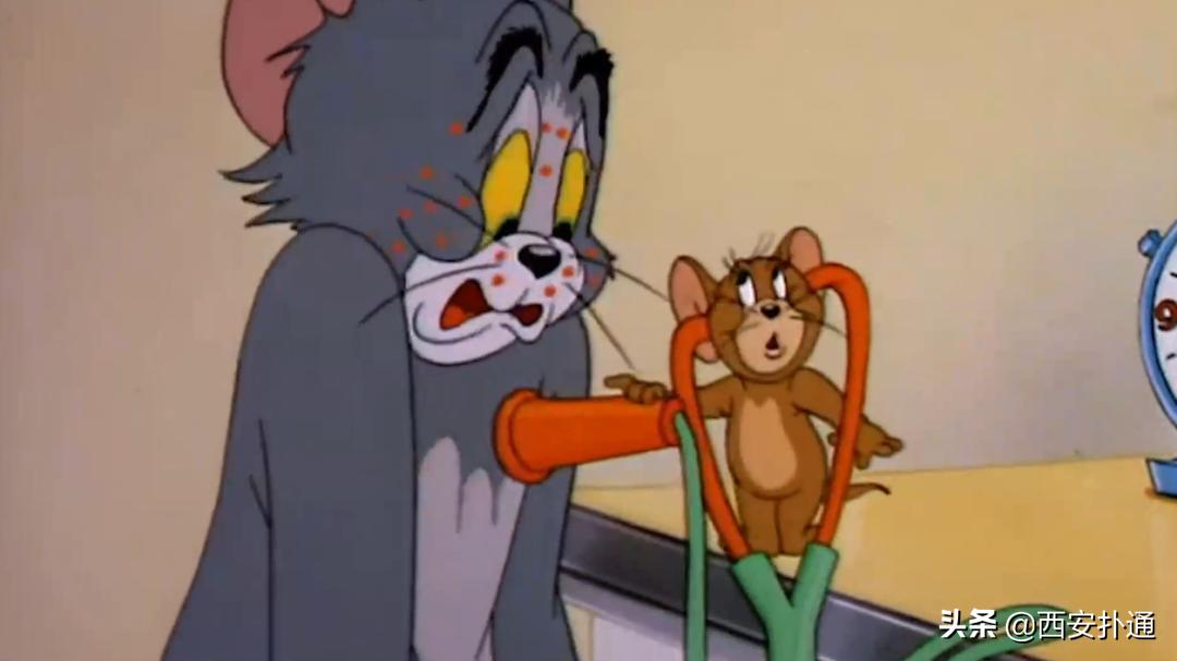 在西安给宠物看病凭什么这么贵