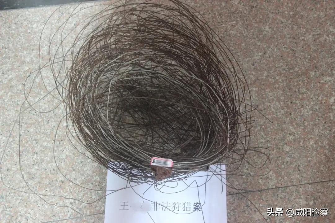 2018年最高人民检察院1号检察建议,人民检察院检察建议规则解读