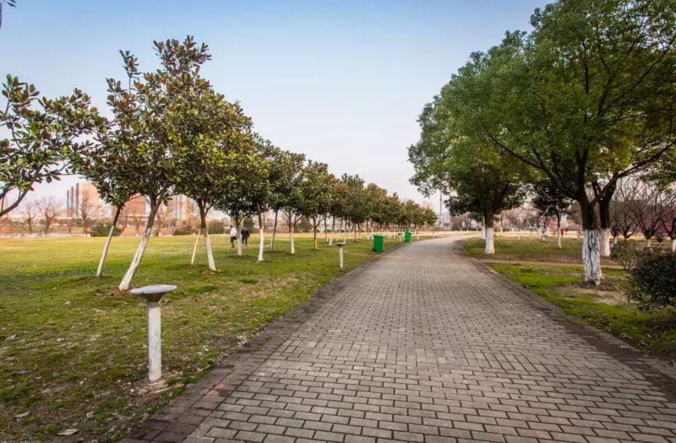 南京人少景美的免费公园,太全了全国旅游简图