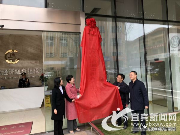 缓解融资难融资贵四川长江民营经济融资担保有限公司正式挂牌