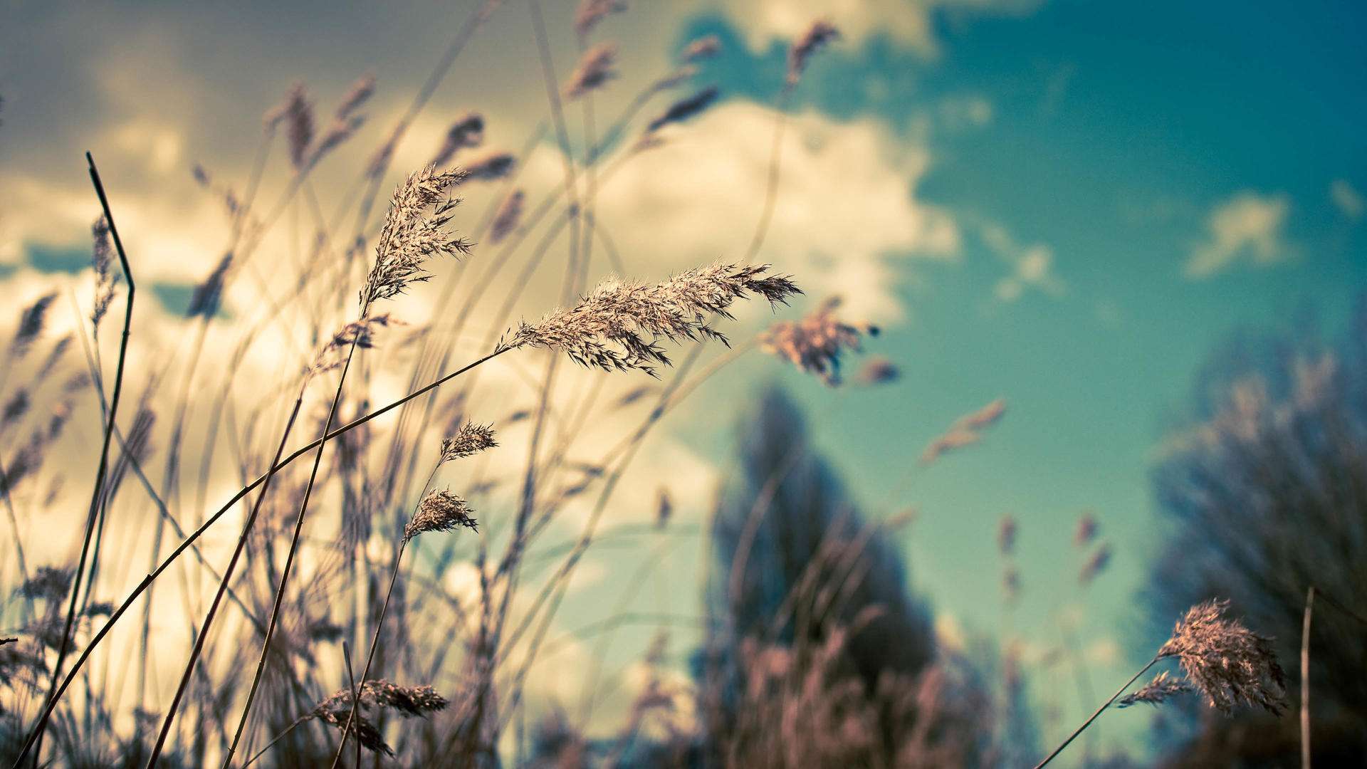 抑郁症提高认知最有效的方法,抑郁症如何提高认知