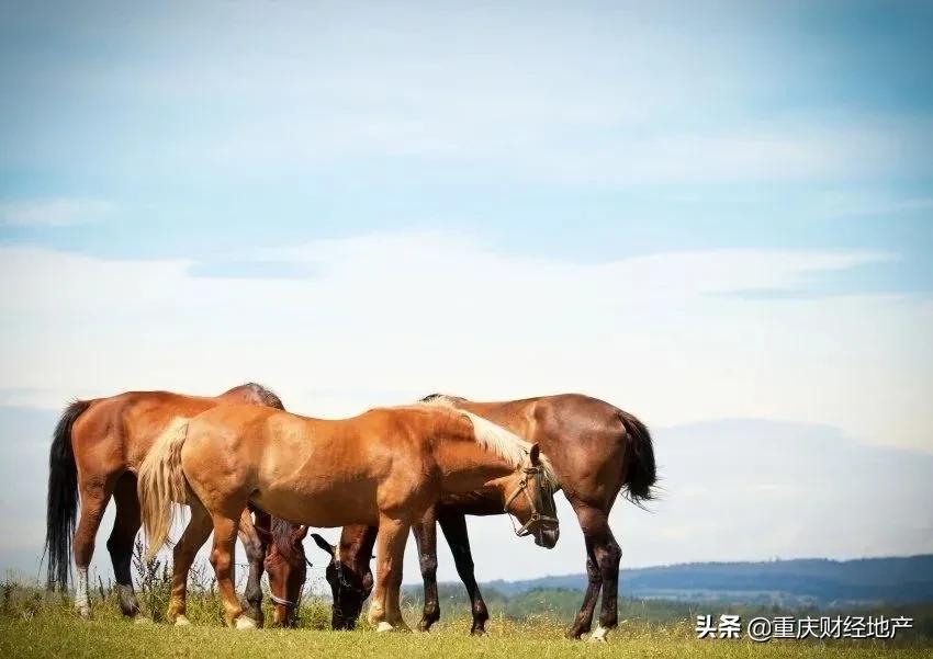 一家开发商，为何要在社区里建一座教堂？