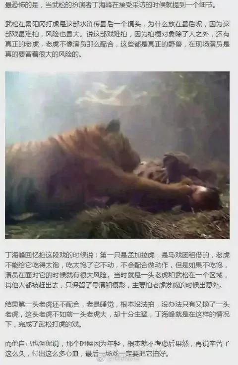 “市场化”是万能的吗？国足男篮演艺圈告诉我们：NO