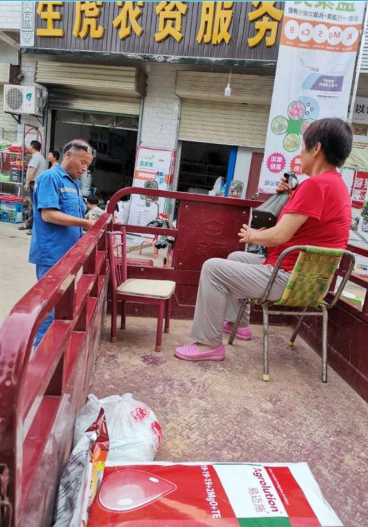 眉县徐香猕猴桃地头价,三农眉县猕猴桃