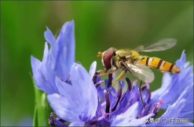 单反相机拍摄黄昏怎么设置参数,单反拍照实战各种参数的设置