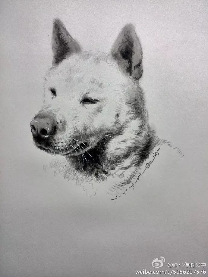 比起打印画，美院毕业的他，笔下这种彩铅水彩画才好看哭了~