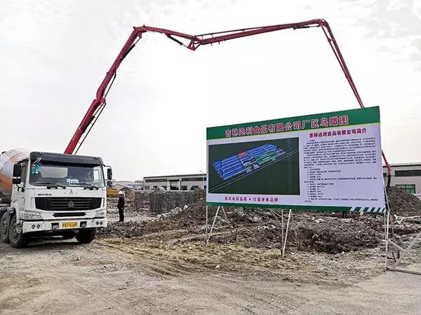 三抓三促项目全面复工,德惠双孢菇